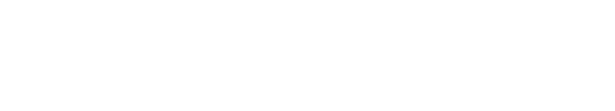 Nexus Politics Logo